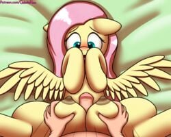 absurd_res blush breasts crotchboob_paizuri crotchboobs crotchboobs_visible_through_thighs equid equine female feral fluttershy_(mlp) friendship_is_magic galacticham hi_res huge_crotchboobs human male male_human/female_feral mammal my_little_pony non-human_areolae paizuri penis pterippus sex straight wings