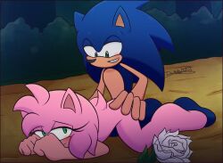 amy rose from sega by dark the artist
