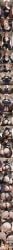 1boy ai_generated anilingus anilingus_from_male anus anus_peek artist_name ass ass_focus ass_grab ass_worship bare_shoulders belt bent_over big_ass big_breasts black_bra black_jacket black_lips black_nails black_panties black_pants black_pantyhose black_skirt blue_skirt blurry blurry_background blush bra breasts brown_eyes brown_hair brown_pantyhose bulge bullying cameltoe cleavage cleft_of_venus close-up clothes_lift clothing_aside collarbone comic comic_page comic_panel comic_strip cowgirl_position cropped_jacket cunnilingus cunnilingus_through_clothes curtains dominatrix drill_hair dripping dripping_pussy english_text erection erection_under_clothes faceless_male fat_mons female femdom from_behind from_below gakuran gape goth goth_girl grabbing_another's_ass grabbing_own_ass groping hand_on_own_ass hand_on_own_chin hand_on_own_hip huge_ass humiliation indoors jacket jujutsu_kaisen jujutsu_tech_uniform kisstaurus kugisaki_nobara lace lace-trimmed_panties lace_trim large_breasts leather leather_jacket lingerie long_hair long_sleeves looking_at_viewer looking_back looking_down makeup mature_female miniskirt mole mole_on_breast mole_under_eye nobara_kugisaki off_shoulder open_clothes open_jacket open_mouth open_shirt oral panties panties_aside panties_under_pantyhose pants pantyhose parted_lips partially_visible_vulva patreon_logo patreon_username peeing piss_drinking pleated_skirt pov pussy pussy_juice pussy_juice_drip_through_clothes pussy_peek school_uniform shirt short_hair sitting sitting_on_face sitting_on_person skirt skirt_lift smile solo solo_focus speech_bubble spread_ass spread_legs steaming_body straddling straight sweat sweatdrop teeth thick_thighs thighband_pantyhose thighhighs thighs thong tongue torn_clothes torn_legwear torn_pantyhose uncensored underwear underwear_only watersports web_address wedgie wet wet_body wet_pussy white_shirt wide_hips window