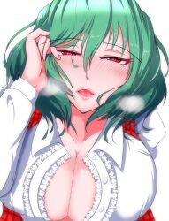 big_breasts female s-m!le_yuu tagme touhou yuka_kazami