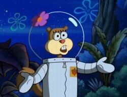 sandy cheeks from nickelodeon