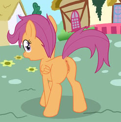 anus equine female friendship_is_magic my_little_pony pegasus pussy scootaloo_(mlp) smooth_skin solo wings zed001