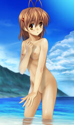 antenna_hair beach blush breasts brown_eyes brown_hair clannad furukawa_nagisa hair_clips hair_ornament hairclip highres mutsuki_(moonknives) nude pointy_chin small_breasts water