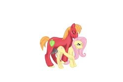 equine feral fluttershy_(mlp) friendship_is_magic horse macintosh my_little_pony pink_hair pony tagme