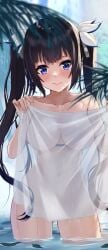 ayul_(ayulneri_92) bare_arms bare_belly bare_legs bare_shoulders bare_thighs belly_button big_breasts black_hair blush breasts closed_mouth collarbone completely_nude dungeon_ni_deai_wo_motomeru_no_wa_machigatteiru_darou_ka goddess hair_ribbon hestia_(danmachi) long_hair nude outdoors see-through smile thighs twintails wading water wet_body