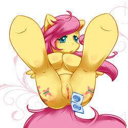 2012 anus ass blue_eyes blush clitoris condom cutie_mark equine female female_only feral fluttershy_(mlp) friendship_is_magic fur furry furry_only hair hooves horse long_hair looking_at_viewer lying mammal maverick my_little_pony nude on_back pegasus pink_hair pony presenting presenting_pussy pussy solo spread_legs spreading tail thighs wings yellow