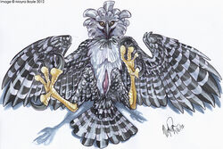 2012 avian beak bird claws cloaca crest crest_feathers crestfeathers crests eagle feathers foot_fetish harpy_eagle hindpaw huskie male male_only mayra_boyle noxal noxy on_back paws penis talons wings