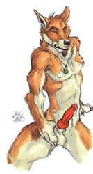 anthro blotch canine diego dingo fur furry knot male male_only masturbation solo