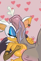 rouge the bat from sega by dingoringo30
