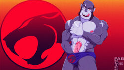 1boy 2013 abs anthro balls biceps boner erection fabfelipe feline fondling fur furry grope hair male male_only muscles panther panthro pecs penis red_eyes retracted_foreskin scar solo speedo swimsuit thundercats thundercats_2011 tongue tongue_out uncut