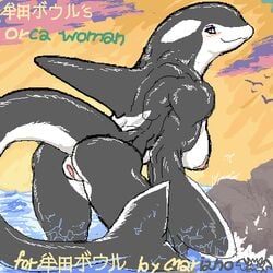 anthro blush breasts cetacean female mariano marine orca pussy tail