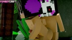 anal anal_sex balls big_penis femboy game gay gay_sex minecraft ride tagme video