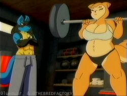 1boy 1girls lucario lueduar lueduartv penis penis_in_pussy pokemon pokemon_(species) pregnant pregnant_female sex shiba_(shibashibs) shibashibs tagme video