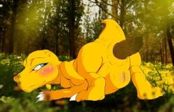 agumon all_fours animated anus bandai_namco biped blinking blue_eyes blush butt claws crowning_feces digimon digimon_(species) fart feces feces_in_ass forest forest_background looking_at_another looking_back male nude plant presenting presenting_feces presenting_hindquarters scales scatplay short_tail solo tail tail_motion thecapedmanlloyd tree yellow_body yellow_scales