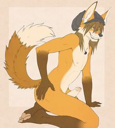 1boy anthro canine dipper erection fox fur furry hair looking_at_viewer male male_only nude penis pose solo