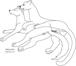1994 animal_genitalia anus balls canid canine canis cougar dated duo erection felid feline female feral fur genitals licking licking_another male male/female mammal monochrome nude penis sheath simple_background tongue tongue_out toony urbanhermit vulva white_background wolf
