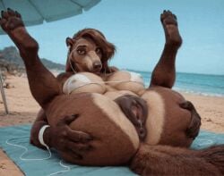 1girls 4_toes ai_animation ai_generated animated anteater anthro anthro_only anus ass beach bedroom_eyes big_ass big_breasts big_butt bikini bottomless breasts brown_body brown_fur brown_hair butt female female_only furry furry_only genital_fluids gif huge_ass huge_breasts huge_butt laying_on_back legs_up looking_at_viewer loop looping_animation outside pussy pussy_juice realistic round_glasses seductive short_playtime shorter_than_10_seconds solo solo_anthro subtle_animation tail thick_thighs voluptuous voluptuous_female wet_pussy wide_hips