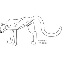 1977 1:1 20th_century ancient_art animal_genitalia anus balls black_and_white cheetah dated eyes_closed felid feline feral genitals long_tail male mammal monochrome rear_view scratching scratching_self sheath simple_background smile solo tail toony urbanhermit white_background
