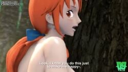 3d horny monkey_d_luffy nami_(one_piece) tagme video
