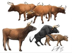 2015 aurochs black_body black_fur bovid bovine brown_body brown_fur cattle duo female feral from_behind_position fur group horn imminent_sex interspecies male mammal mounting multiple_images pachyornis quadruped recently_extinct_species sex short_fur simple_background size_difference solo white_background