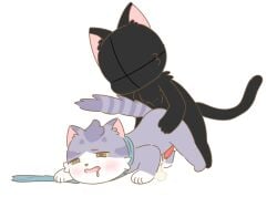 anc clark_(love_for_my_cutie) domestic_cat duo felid feline felis love_for_my_cutie male male/male mammal