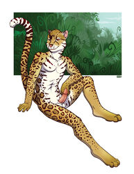 1boy anthro feline fur furry iggi looking_at_viewer male male_only nude ocelot paws penis pinup pose presenting raised_tail sitting solo tongue