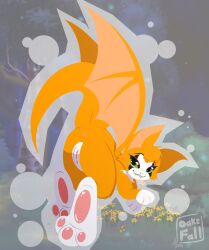 11oaksfall11 anthro anus bat bat_wings bedroom_eyes bite biting_lip biting_own_lip black_markings blush crouching dust:_an_elysian_tail feet felid feline female fidget fidget_(elysian_tail) foot_focus fur genitals green_eyes hi_res mammal markings membrane_(anatomy) membranous_wings narrowed_eyes nimbat orange_body orange_fur pawpads paws pink_pawpads presenting presenting_pussy presenting_vulva pussy seductive self_bite solo tail vulva white_paws wings