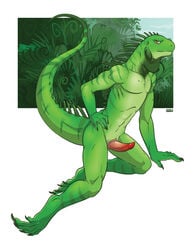 balls iggi iguana lizard looking_at_viewer male male_only nude penis pinup pose presenting scalie sitting solo tongue