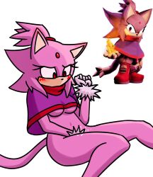 1girls artist_request blaze_the_cat blaze_the_cat_(om) blush feline female female_focus female_only masturbation nude_female outcome_memories purple_body purple_fur pussy reference_image roblox roblox_game sega solo_female solo_focus sonic_(series) tagme