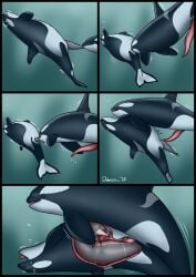 2025 almost_fully_inside ambiguous_feral ambiguous_gender ambiguous_penetrated ambiguous_penetration ambiguous_prey animal_genitalia animal_penis assisted_vore black_body cetacean cetacean_genitalia cetacean_penis comic dated dolorcin dolphin dorsal_fin erection female female/ambiguous female_feral female_penetrated female_pred feral feral_on_feral feral_penetrated feral_penetrating feral_penetrating_feral feral_pred feral_prey fin flukes genitals grey_body group hi_res internal interspecies intraspecies larger_female larger_male larger_pred male male/ambiguous male/female male_feral male_penetrating male_penetrating_ambiguous male_penetrating_female mammal marine matryoshka_sex motion_lines oceanic_dolphin open_mouth orca pectoral_fin penetration penile penile_penetration penis penis_in_vagina pussy recursive_penetration sex size_difference smaller_ambiguous smaller_penetrated tapering_penis toothed_whale trio unbirthing underwater vaginal_penetration vore water white_body x-ray_view year zoophilia