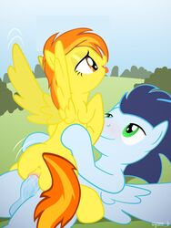 colt equine female friendship_is_magic horse male my_little_pony penis sex smooth_skin soarin_(mlp) spitfire_(mlp) syoee_b wonderbolts_(mlp)