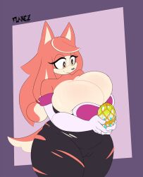 conductor's wife (sonic) from sega by flamez