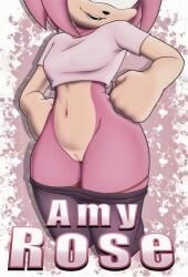 amy rose from sega by arts eidolon