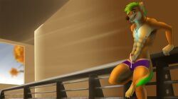 2013 Rule 34 Image