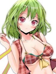 2d big_breasts bikini bikini_top bra breasts cleavage green_eyes green_hair ka_soka kaso kazami_yuuka kitaura_kasumi large_breasts thick_thighs touhou velia