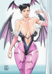 chun-li from darkstalkers by cirenk