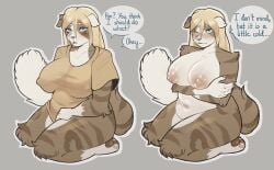 anthro asakitty belly big_breasts blonde_hair blue_eyes blush breasts clothing domestic_cat feet felid feline felis female fluffy fluffy_tail hair hi_res holding_breast looking_at_viewer mammal nipple_outline nipples_visible_through_clothing pawpads scottish_fold shirt slightly_chubby solo striped_body stripes tail thick_thighs tight_clothing tight_shirt tight_topwear toes topwear undressing