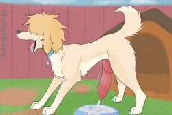absurd_res anatomically_correct anatomically_correct_genitalia anatomically_correct_penis animal_genitalia animal_penis bowl canid canine canine_genitalia canine_penis canis claws coller container doghouse domestic_dog ejaculation female fence feral fluffy fur genitals ghostyxtoasty grass hair hi_res intersex intersex/female knot knotted_penis mammal open_mouth outside penis pet_bowl plant poodle raised_tail roslyne_(ghostyxtoasty) solo tail teeth tongue yawn yellow_body yellow_fur