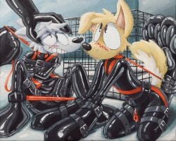 absurd_res acrylic_painting_(artwork) anthro belt belt_buckle blush blush_lines bondage bondage bound buckle bulge bunnymutt cage canid canine canis claws clothing collar cross-eyed domestic_dog duo fur genitals glistening glistening_body glistening_eyes gloves grey_body grey_fur half-closed_eyes handwear harness head_grab hi_res latex latex_clothing latex_gloves latex_handwear latex_skinsuit leash leash_pull leg_spreader legs_tied liminal_spaces male male/male mammal narrowed_eyes null_symbol painting painting_(artwork) penis penis_under_clothes petplay purple_eyelids restraints roleplay simple_background skinsuit spread_legs spreader_bar spreading straitjacket struggling submissive tight_clothing toony traditional_media_(artwork) traditional_painting_(artwork) white_body white_fur yellow_body yellow_fur