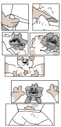 anthro armpit_hair bite body_hair canid canine canis clothing domestic_dog dominant dominant_male erection erection_under_clothing genitals invalid_tag male male/male mammal penis procyonid raccoon submissive submissive_male touching_penis