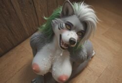 ai_generated anthro anthropomorphic beautiful bedroom big_breasts breasts breeding_request cum_in_mouth cum_on_breasts cum_on_face cumshot female five_nights_at_freddy's:_security_breach fluffy_tail fur furry impregnation_request in_heat inviting_to_sex kneeling looking_at_viewer on_knees roxanne_wolf_(fnaf) roxy seductive seductive_look seductive_smile sexy sexy_body sexy_pose spread_legs tits_out wet_pussy wolf wolf_girl wolf_humanoid