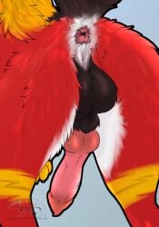 animal_genitalia anus balls black_body black_fur canid canine canis erection feral fur genitals hi_res knot male mammal penis pink_anus pink_knot pink_penis poppy_feral raised_tail red_body red_fur sheath solo tail white_body white_fur wolf