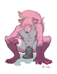 1cuntboy Rule 34 Image