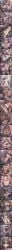 1girl 2026 2boys 2d 3boys 4boys absurd_res absurd_resolution absurdres after_fellatio after_sex after_vaginal ahegao ai_generated alley alternate_breast_size anus areola_slip asahina_aoi asphyxiation ass ass_ripple backpack bag bald bandaid bandaid_on_knee bandaid_on_leg banknote barefoot bear_hair_ornament black_choker black_footwear black_hair black_jacket black_nails black_necktie black_shirt black_thighhighs blonde_hair blue_eyes blunt_bangs blurry blurry_background blush bonnet bow bra breasts breasts_apart brown_hair brown_skirt bukkake celestia_ludenberg censored center_frills choker claw_ring cleavage closed_eyes closed_mouth clothes_lift clothing_aside collarbone collared_shirt condom covered_nipples covering_another's_mouth crowd cum cum_in_mouth cum_in_pussy cum_on_body cum_on_breasts cum_on_clothes cum_on_hair cum_on_legs cum_on_tongue cum_overflow cum_pool cumdrip curvy danganronpa dark-skinned_female dark-skinned_male dark_skin day denim_shorts double_handjob double_v dress_shirt drill_hair drooling earrings ejaculation english_text enoshima_junko excessive_cum exhibitionism facial fanbox_username fat fat_man feet fellatio female_ejaculation female_pubic_hair fertilization finger_in_another's_mouth folded frills from_side full_nelson gangbang gothic_lolita green_footwear green_jacket group_sex hair_ornament hairclip hand_up handjob hands_up head_back heart heart-shaped_pupils hetero hi_res high_heel_boots high_heels high_quality high_resolution highres holding_bag hood huge_breasts huge_penis image impregnation interracial inverted_nipples jacket jewelry junko_enoshima knee_boots large_areolae large_breasts layered_skirt light_brown_hair long_hair long_sleeves looking_at_viewer lying medium_hair miniskirt money mosaic_censoring mouth_pull multiple_boys multiple_condoms muscular nail_polish nanami_chiaki navel neck_ribbon necktie necktie_between_breasts nipples no_panties nude on_back on_stomach open_clothes open_jacket open_mouth oral outdoors ovum panties panties_around_one_leg partially_unbuttoned patreon patreon_logo patreon_username penis people pink_eyes pink_footwear pink_ribbon plaid plaid_skirt pleated_skirt pointless_condom ponytail print_necktie prone_bone prostitution pubic_hair public_indecency public_use pussy pussy_juice rape raped raped_female recording red_bow red_eyes red_footwear red_jacket red_nails red_necktie red_skirt reverse_suspended_congress ribbon rolling_eyes saliva sex sex_from_behind shiny_skin shirt shoes short_hair short_shorts shorts sitting skindentation skirt skirt_lift sky smile sneakers socks solo solo_focus spaceship_hair_ornament sperm_cell spread_legs squatting standing standing_sex stomach stomach_bulge strangling stray_pubic_hair surrounded_by_penises sweat symbol-shaped_pupils tank_top tears teeth testicles thighhighs thighs tile_floor tiles toes toilet toilet_paper toilet_stall tongue tongue_out top-down_bottom-up torn_clothes torn_thighhighs trash_bag trash_can trembling twin_drills twintails uncensured underwear used_condom used_tissue v vaginal veiny_penis viewfinder watermark web_address white_footwear white_panties white_shirt white_socks white_tank_top wide_hips xdomikami