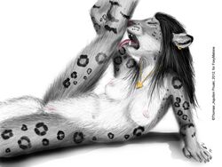 anthro feline female foxia fur furry licking nude pussy snow_leopard tongue