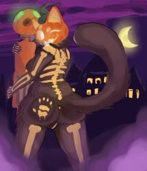 absurd_res anthro anus ass black_body black_fur breasts domestic_cat epic_games felid feline felis female fog for_a_head fortnite fortnite:_battle_royale fur furociousarts genitals glowing hi_res humanoid mammal nipples object_head painted_background painted_fur pumpkin_head pussy simple_background solo spice_(fortnite) tail vulva