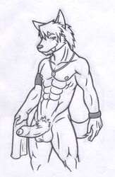 anthro canine fur furry furry_only husky kouya male male_only morenatsu penis tagme uncut