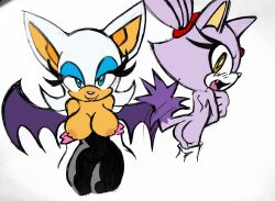 blaze the cat from sega by citrus1694