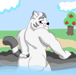 animal_crossing anthro ass bathing felid hi_res male male/male mammal muscular muscular_anthro muscular_male nintendo outdoor_nudity pantherine rowan_(animal_crossing) solo tiger wotter_bottle_(artist)