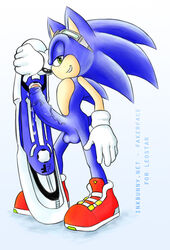 balls color cum extreme_gear fakerface hedgehog hover_board hoverboard looking_at_viewer male male_only penis sega sex solo sonic_(series) sonic_riders sonic_the_hedgehog